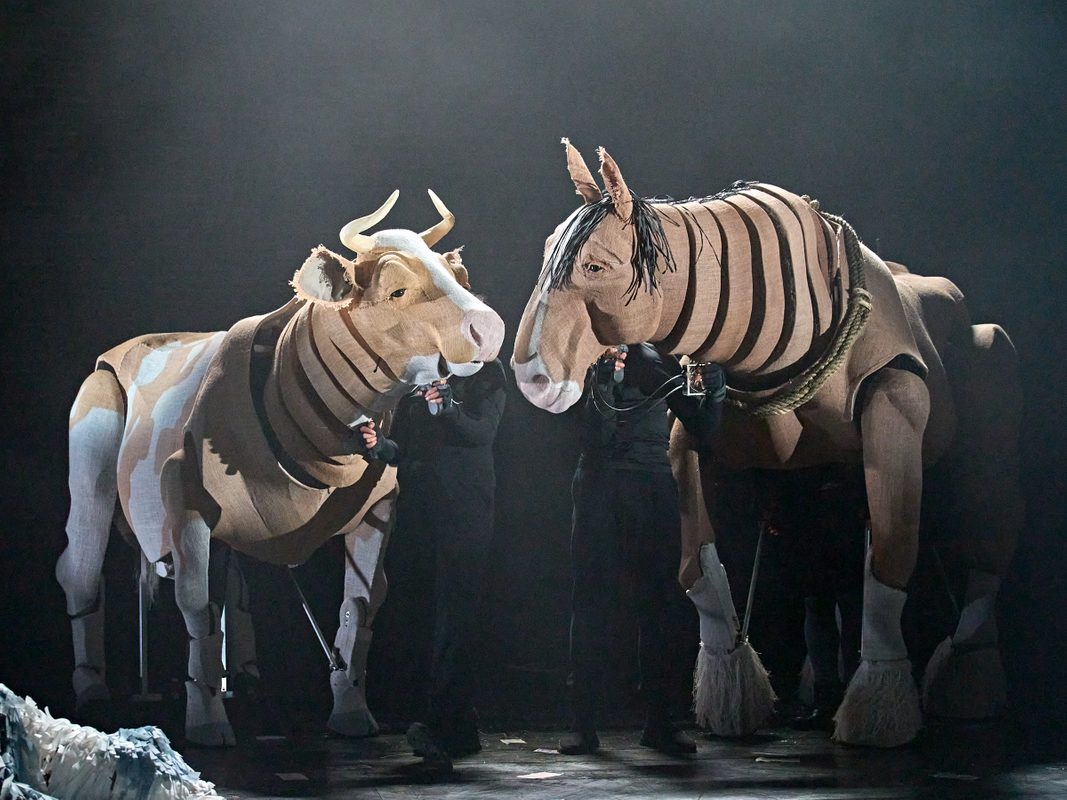 Animal Farm | Newcastle Theatre Royal