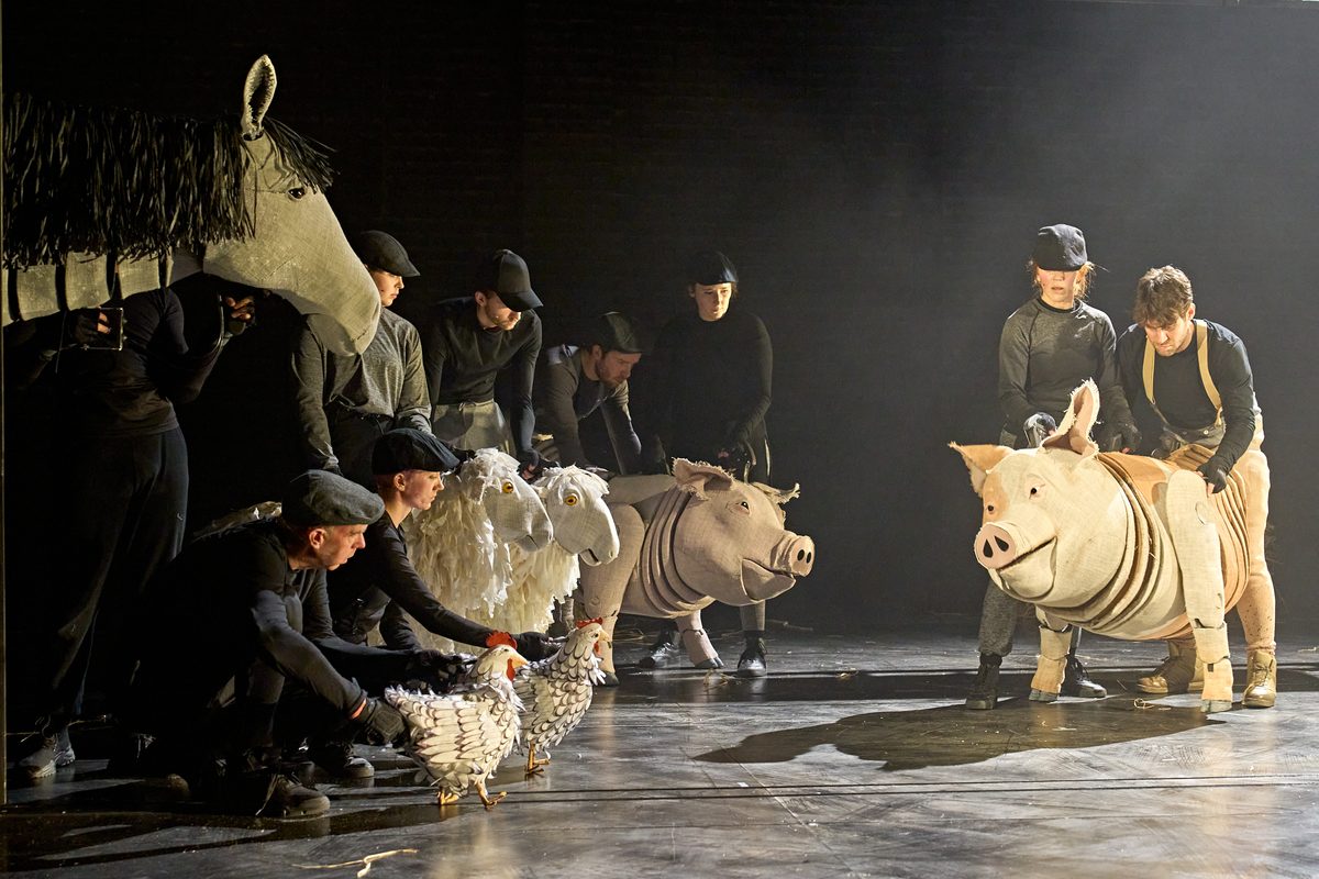 Animal Farm | Newcastle Theatre Royal