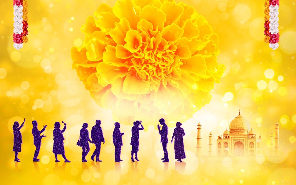 Show artwork for The Best Exotic Marigold Hotel