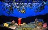 A scene from The Cunning Little Vixen