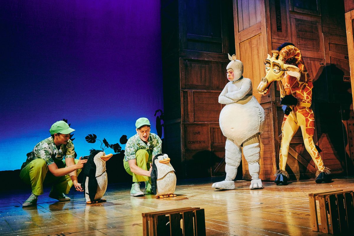 Madagascar - The Musical | Newcastle Theatre Royal