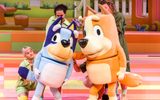 Two cartoon dogs are deep in conversation whilst looking at something that is of interest in the distance