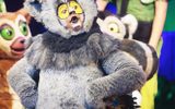 A person dressed as a character in a fur suit.