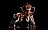 A group of dancers all facing away from the camera and lifting one member of the group in the air.