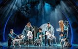 Five dalmatian puppets lined up across the stage. They are all wearing different coloured collars.