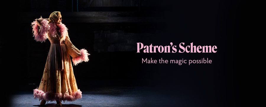 Patrons Scheme_Website Header_2560x1030px_Make Magic