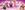NTR044 - 2560x1030 No logo FINAL