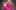 LegallyBlonde_84072 - Copy Amber Davies is Elle Woods in Legally Blonde the Musical.